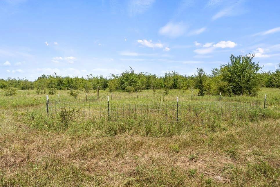 E R Merrell Surv Abs #639 - Land