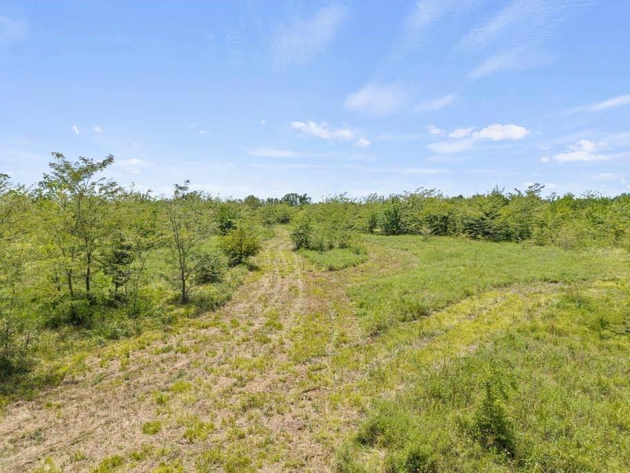 E R Merrell Surv Abs #639 - Land