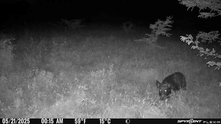 E R Merrell Surv Abs #639 - Land