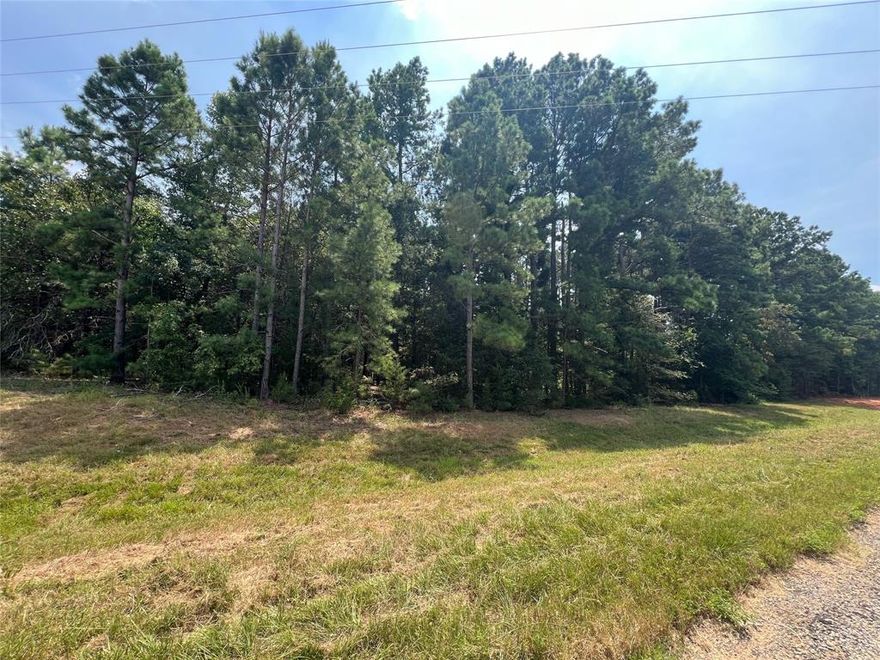 Approx 10 wooded acres only a short distance from Barefoot Bay and Lake Bob Sandlin! The perfect amount wooded of acreage with county water and electric available!