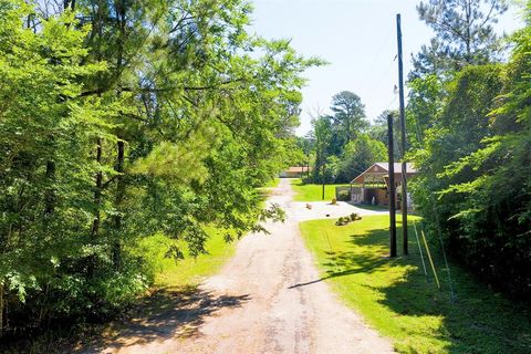 Unimproved Land in Trinity TX Lots 10-11 Rabbit Run Lane.jpg