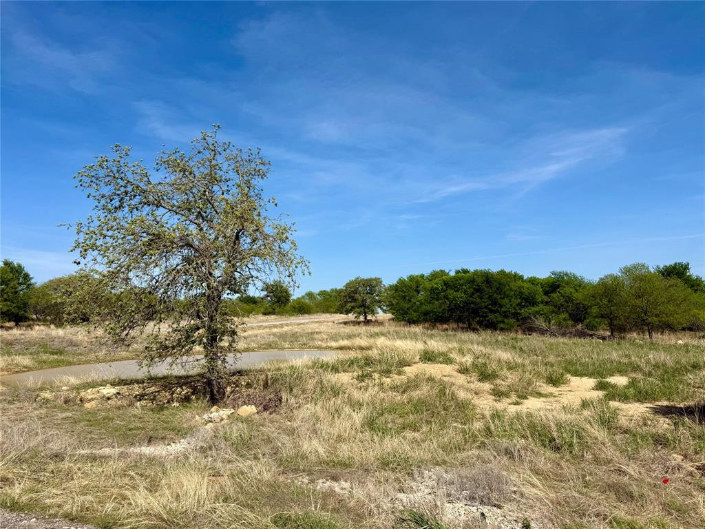 North Star Pointe - Land
