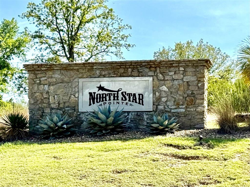 North Star Pointe - Land