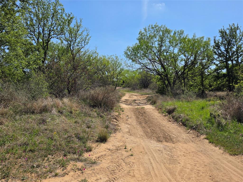 3925 County Road 216