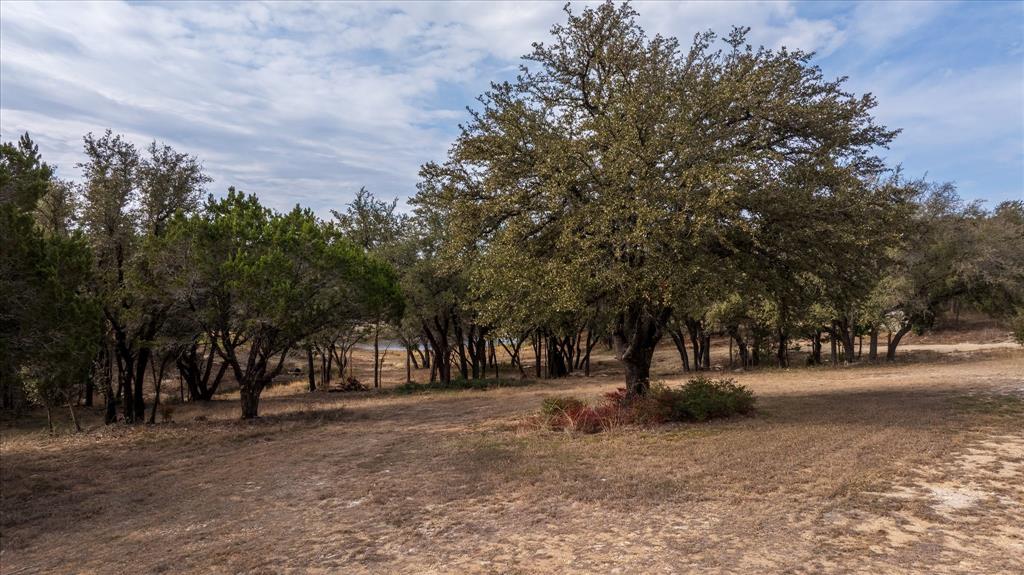 Pecan Plantation - Land