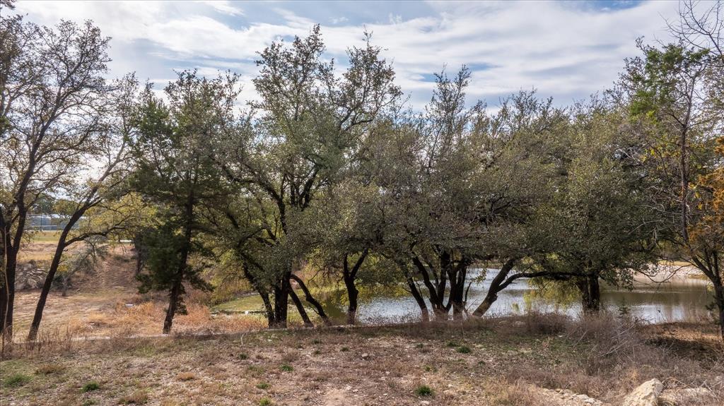 Pecan Plantation - Land
