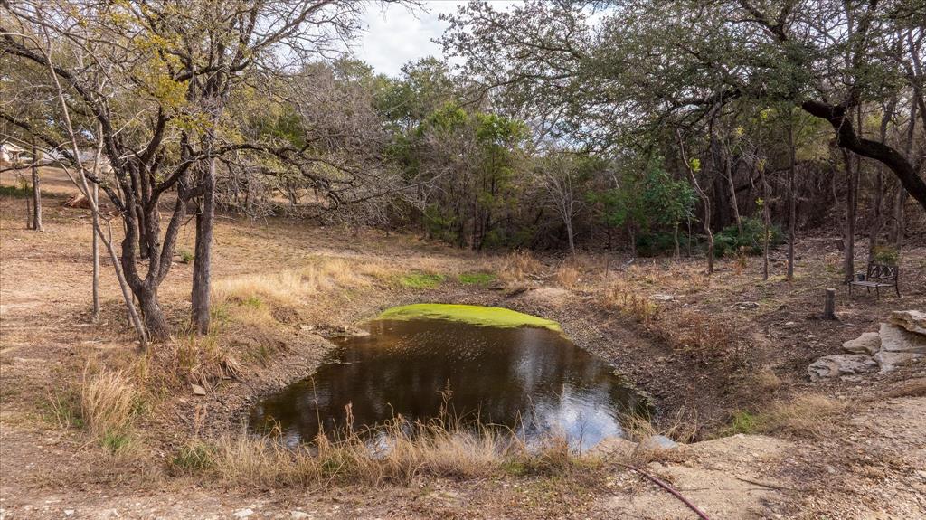Pecan Plantation - Land