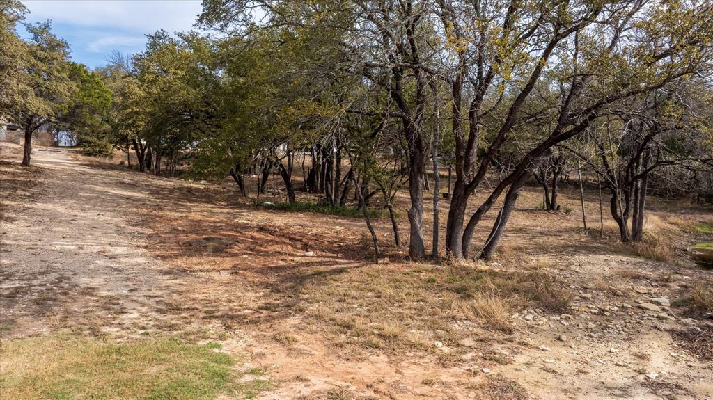 Pecan Plantation - Land