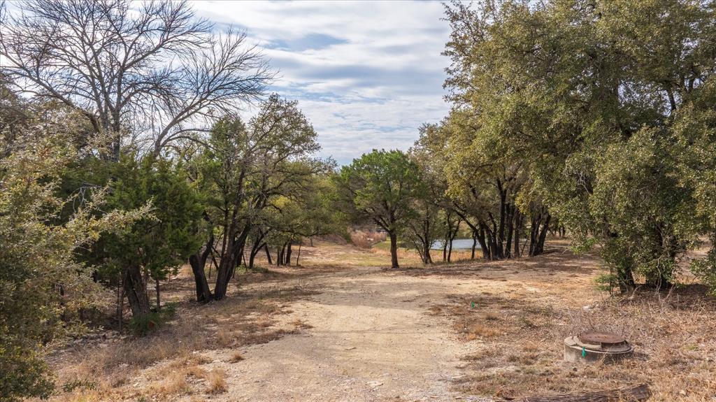 Pecan Plantation - Land