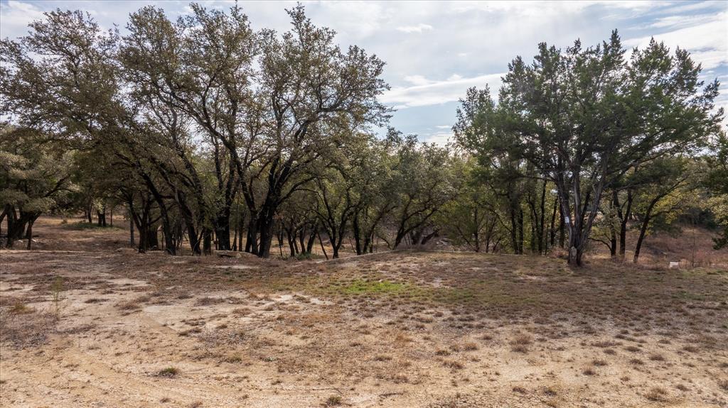 Pecan Plantation - Land