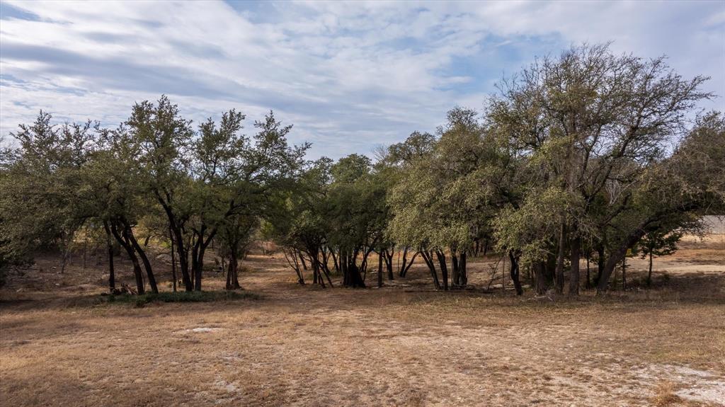 Pecan Plantation - Land