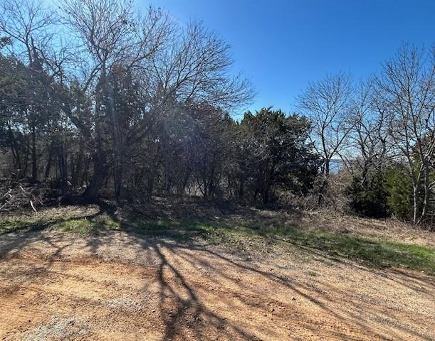 White Bluff #01 - Land