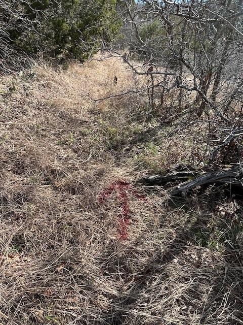 White Bluff #01 - Land