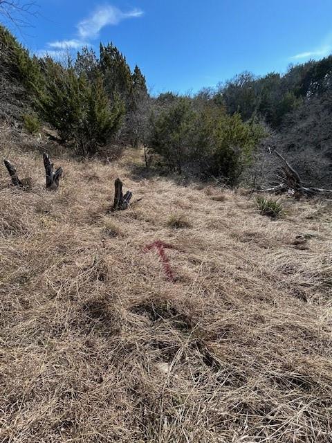 White Bluff #01 - Land