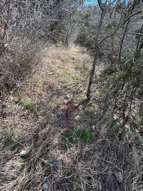 White Bluff #01 - Land