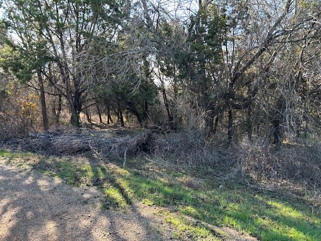 White Bluff #01 - Land