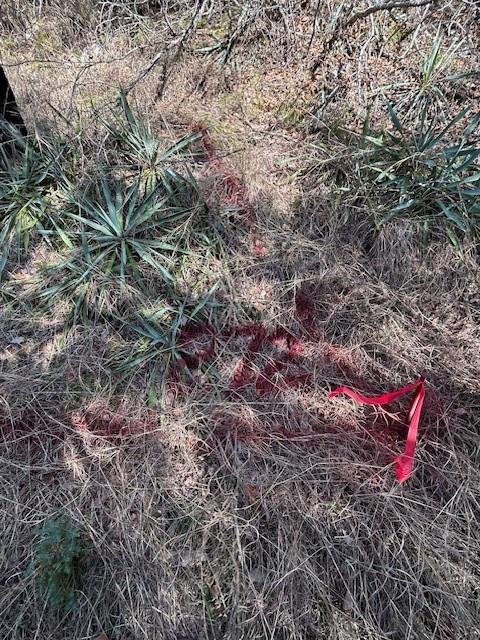 White Bluff #01 - Land