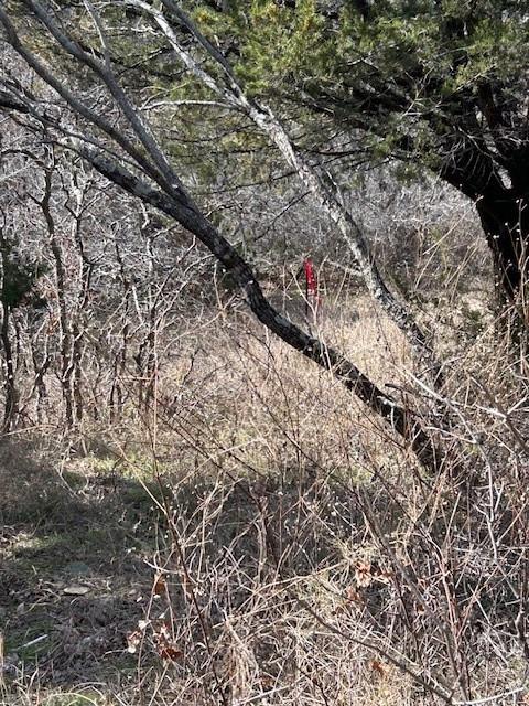 White Bluff #01 - Land