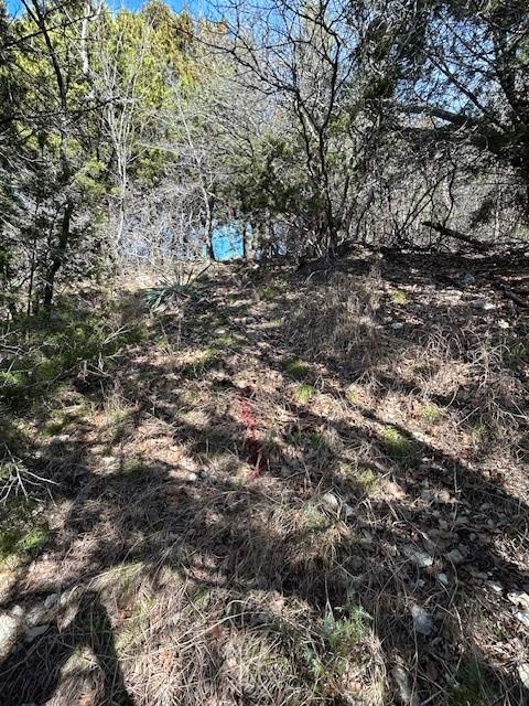 White Bluff #01 - Land