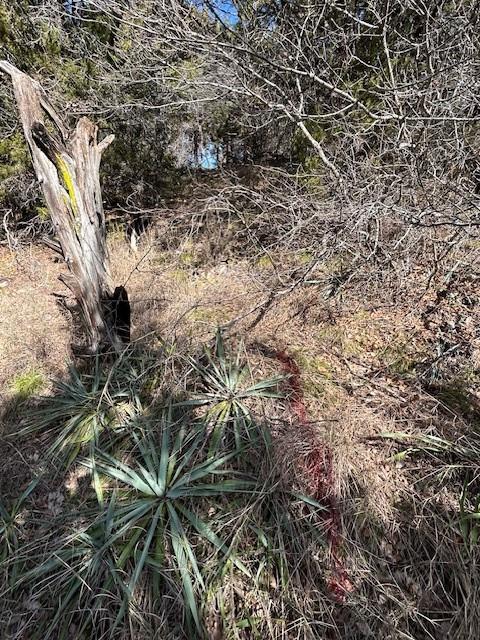 White Bluff #01 - Land