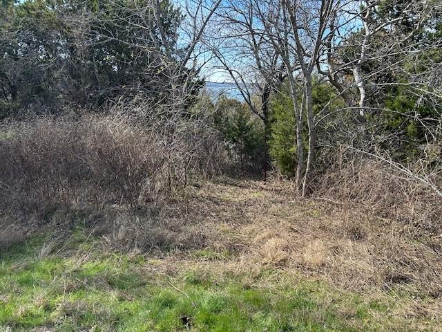 White Bluff #01 - Land