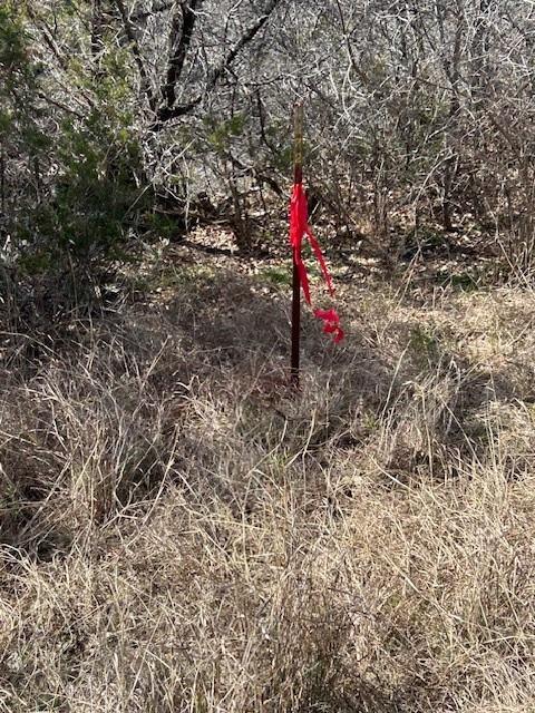 White Bluff #01 - Land