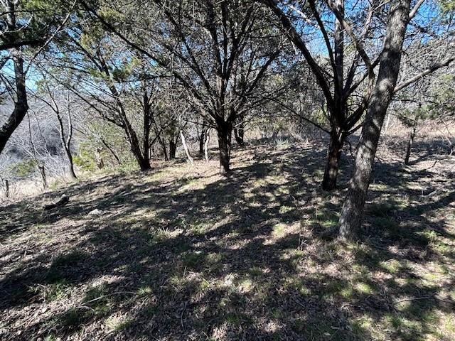 White Bluff #01 - Land