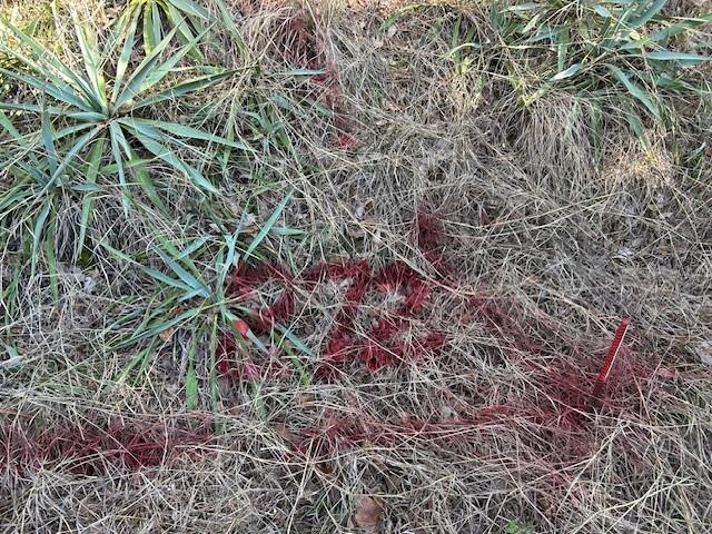 White Bluff #01 - Land