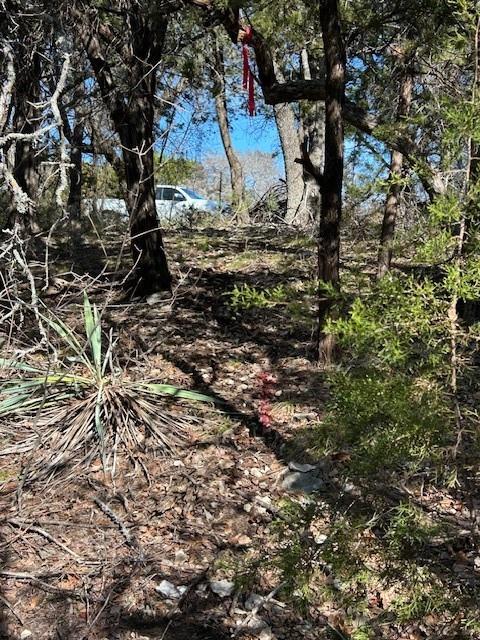 White Bluff #01 - Land