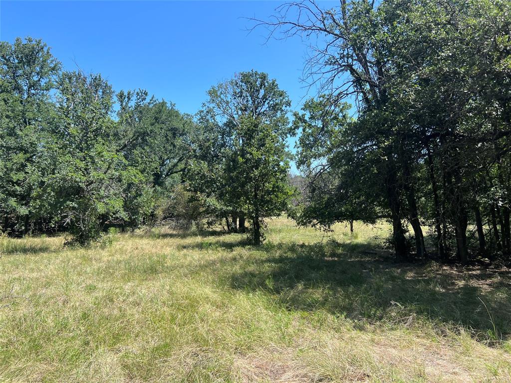 137 COUNTY ROAD 137