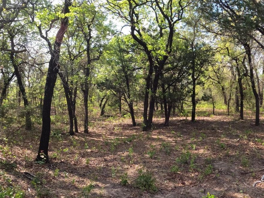 Discover the perfect blend of open space and natural beauty on this stunning 4+ acre homesite located in the desirable Bella Oaks subdivision in Tolar. The property has already been partially cleared, saving you that cost, while preserving over 2 acres of mature trees, offering privacy and a peaceful setting surrounded by nature.

Enjoy the quiet charm of the neighborhood, featuring thoughtfully designed homes and a welcoming atmosphere. Wildlife is frequently seen throughout the area, adding to the serene environment. Horses are permitted per HOA guidelines, providing added flexibility for a variety of lifestyles.

Conveniently located less than 15 minutes from Granbury, this property offers the best of both worlds: a tranquil setting with easy access to shopping, dining, and everyday amenities.