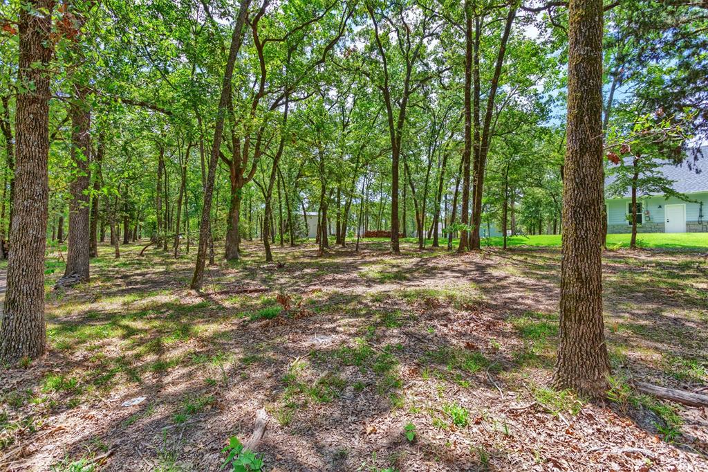 Nautical Shores - Land