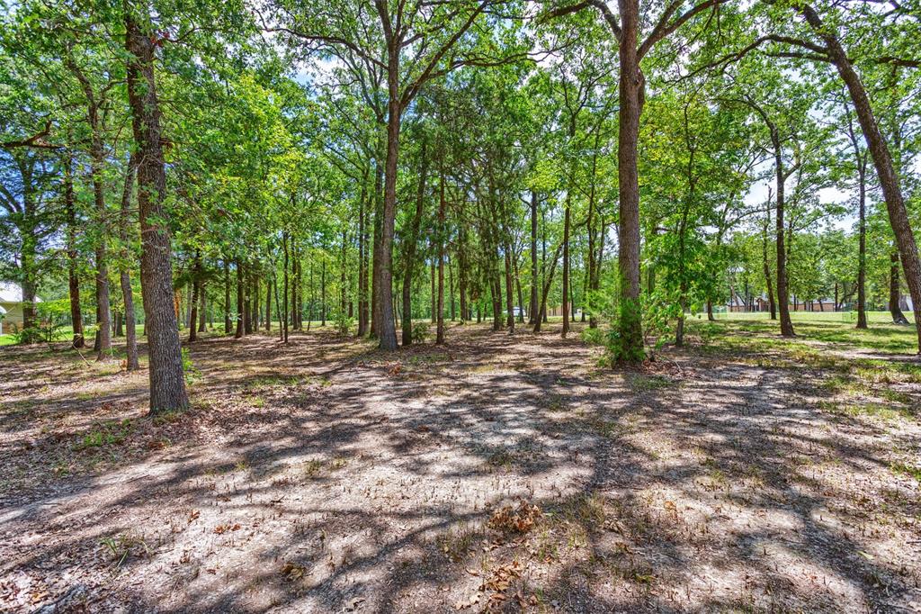 Nautical Shores - Land