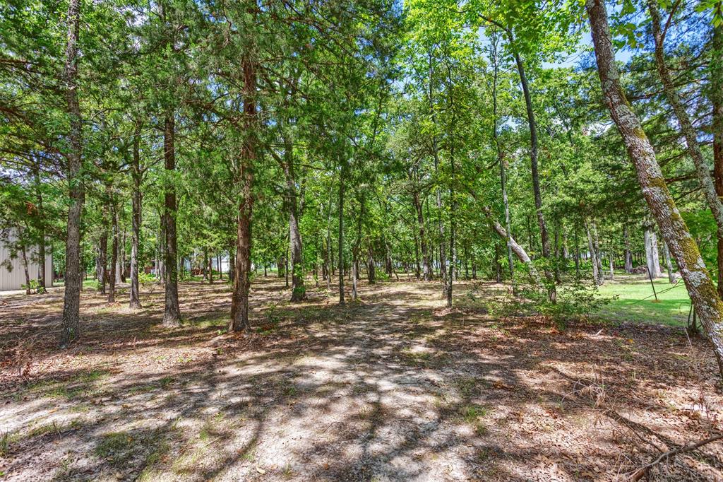 Nautical Shores - Land