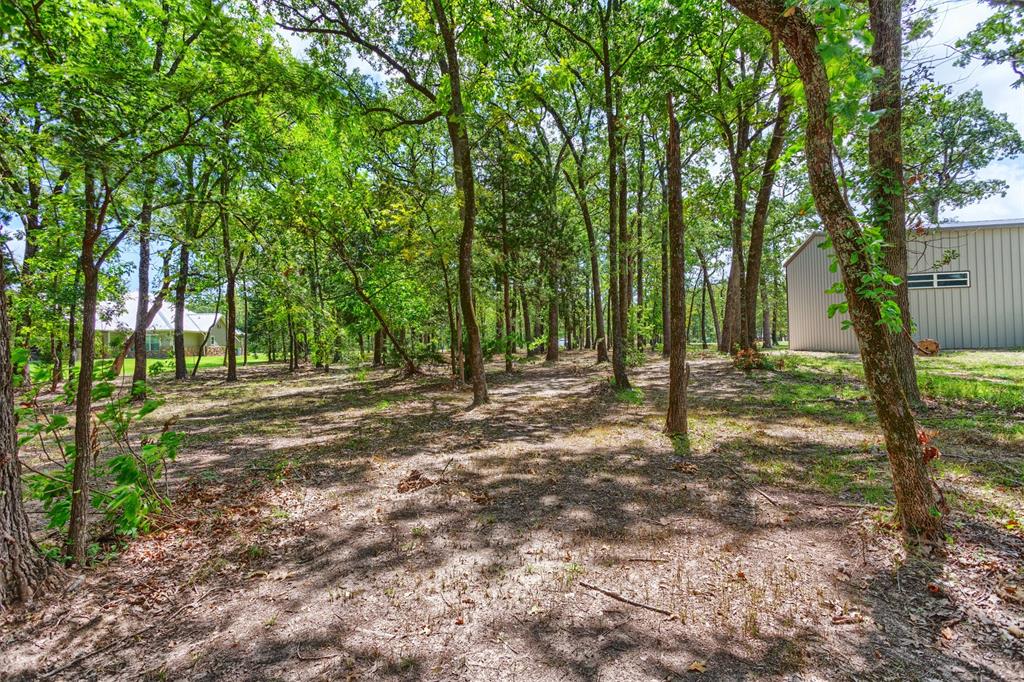 Nautical Shores - Land