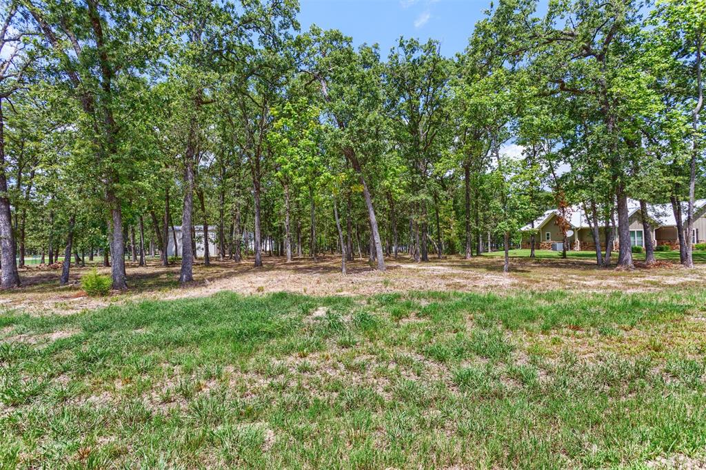 Nautical Shores - Land