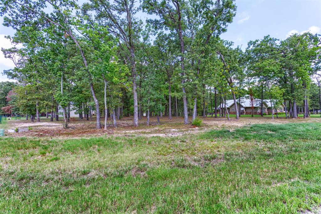 Nautical Shores - Land