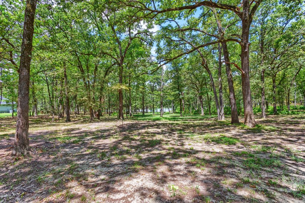 Nautical Shores - Land