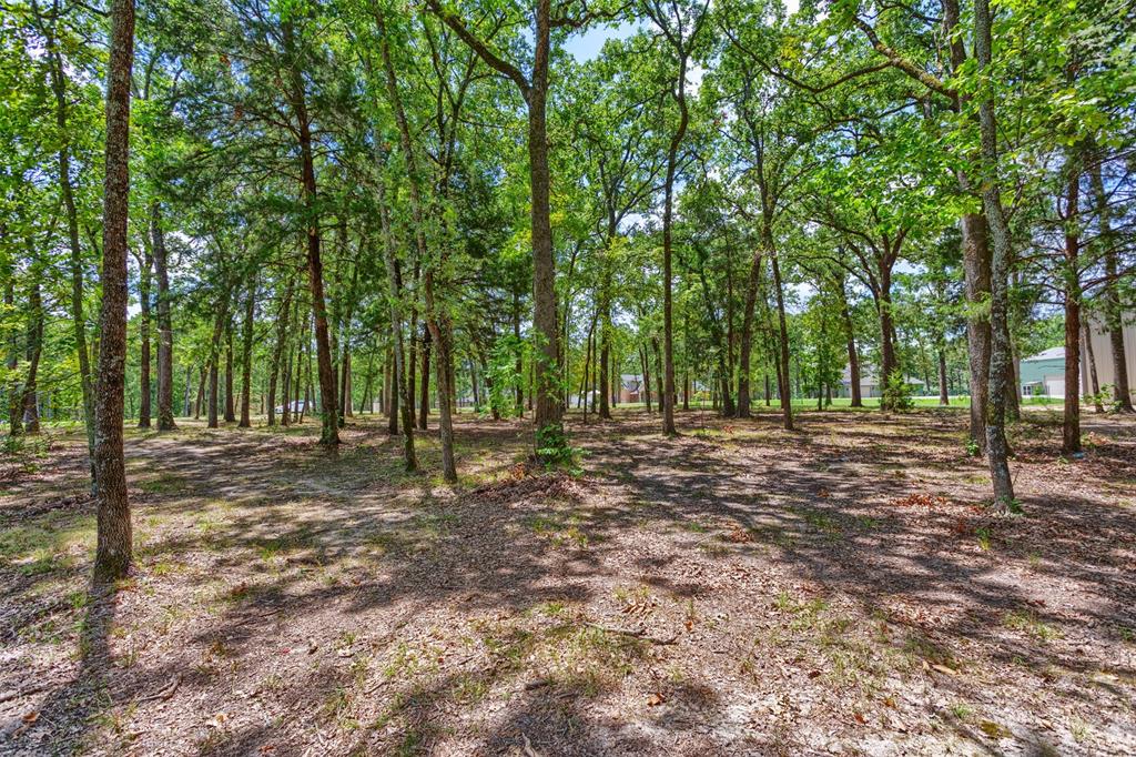 Nautical Shores - Land