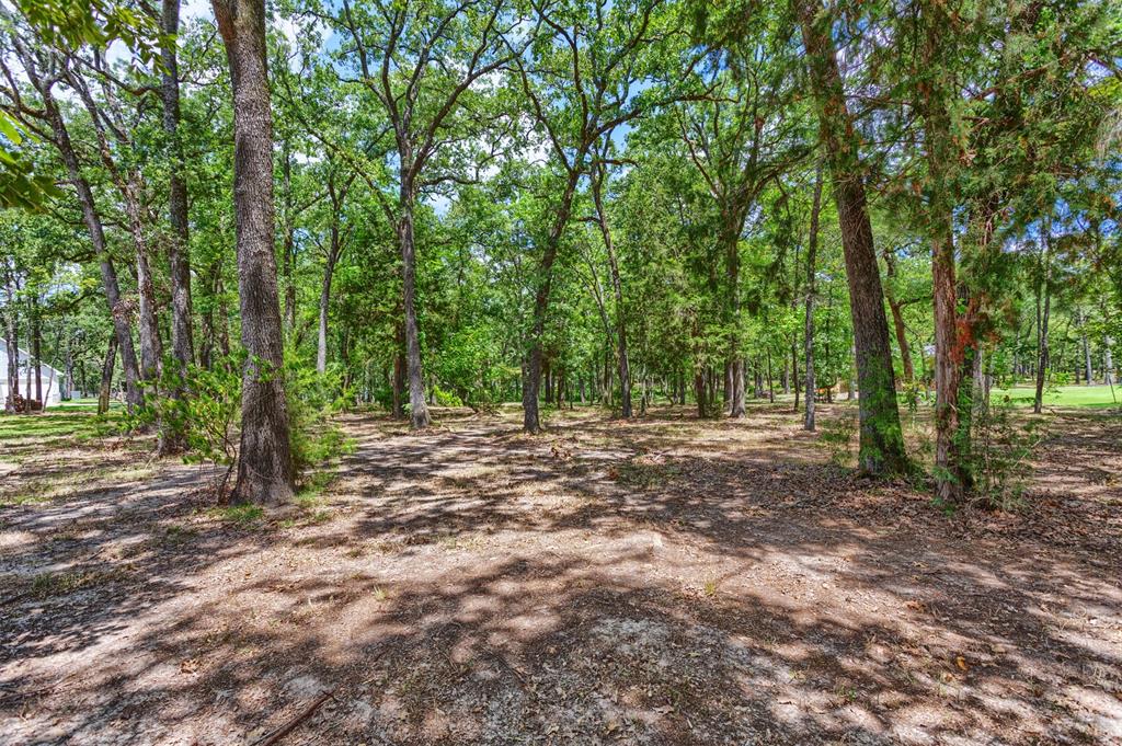 Nautical Shores - Land