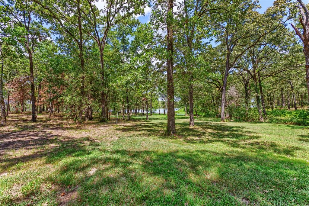 Nautical Shores - Land