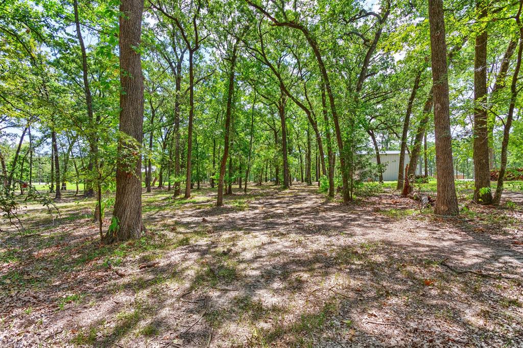 Nautical Shores - Land