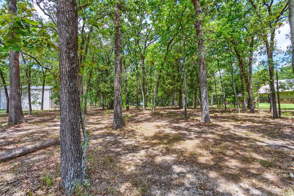 Nautical Shores - Land