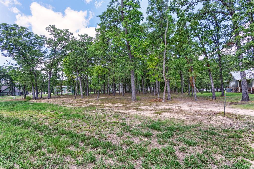 Nautical Shores - Land