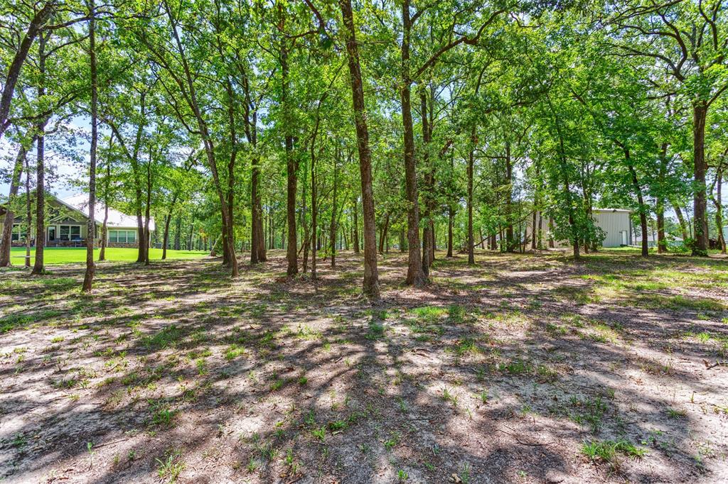 Nautical Shores - Land