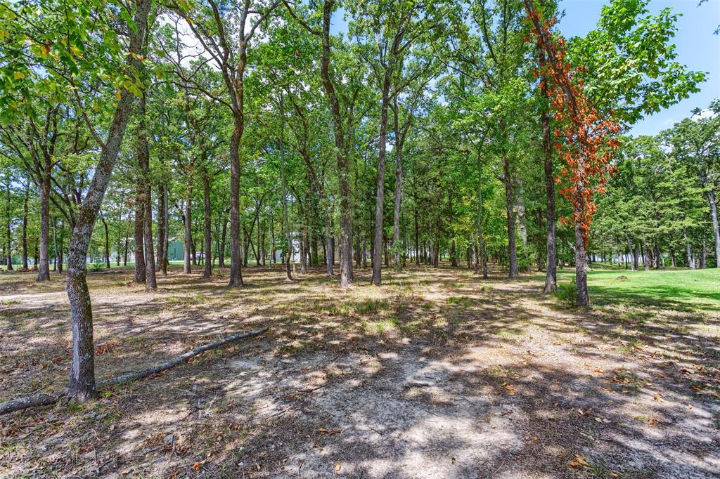 Nautical Shores - Land