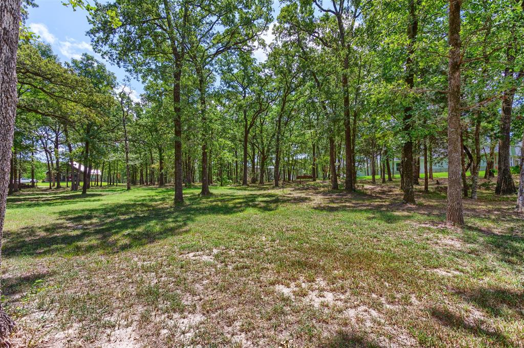 Nautical Shores - Land