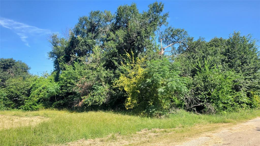 Thunderbird Shores - Land