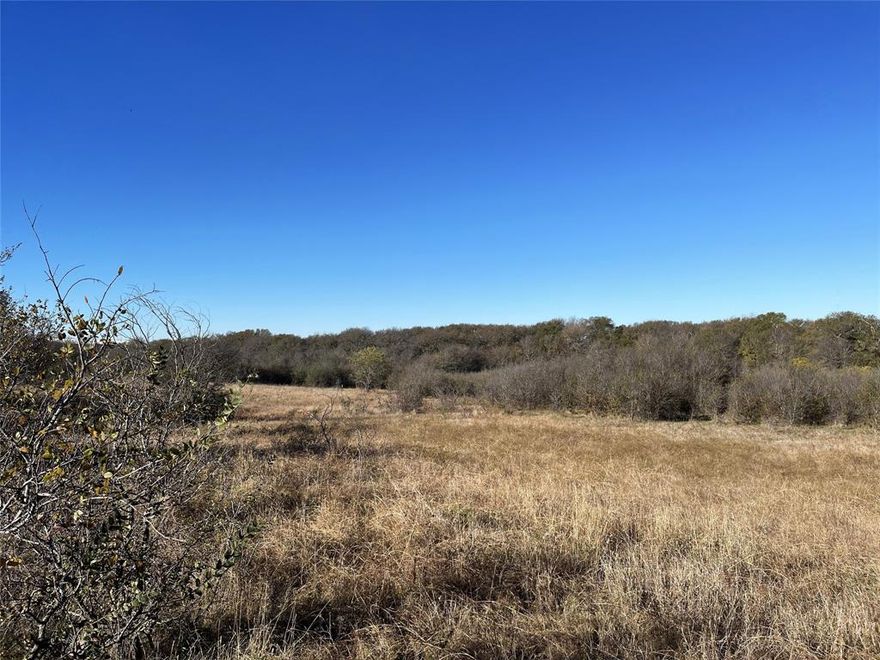 Welcome to your serene escape in Gunter, TX! This stunning 13-acre property offers a perfect blend of natural beauty and tranquility. Nestled amidst lush trees and rolling topography, this land is a true gem for nature lovers and those seeking a peaceful retreat. A creek goes along the northern boundary, providing mature trees throughout the property. The varied topography adds character and charm, with gentle slopes and scenic views that make this property truly unique. This property is sized to maintain the current agriculture exemption and can be built on using the county requirements. Whether you’re looking to build your dream home, create a private retreat, or invest in a piece of Texas, this property in Gunter has it all. Don’t miss the opportunity to own a slice of nature’s beauty in a prime location.