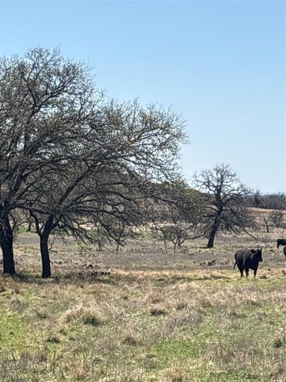 no - Farm